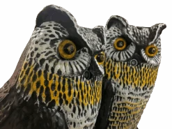 Who Calls For You Escape Room Prop