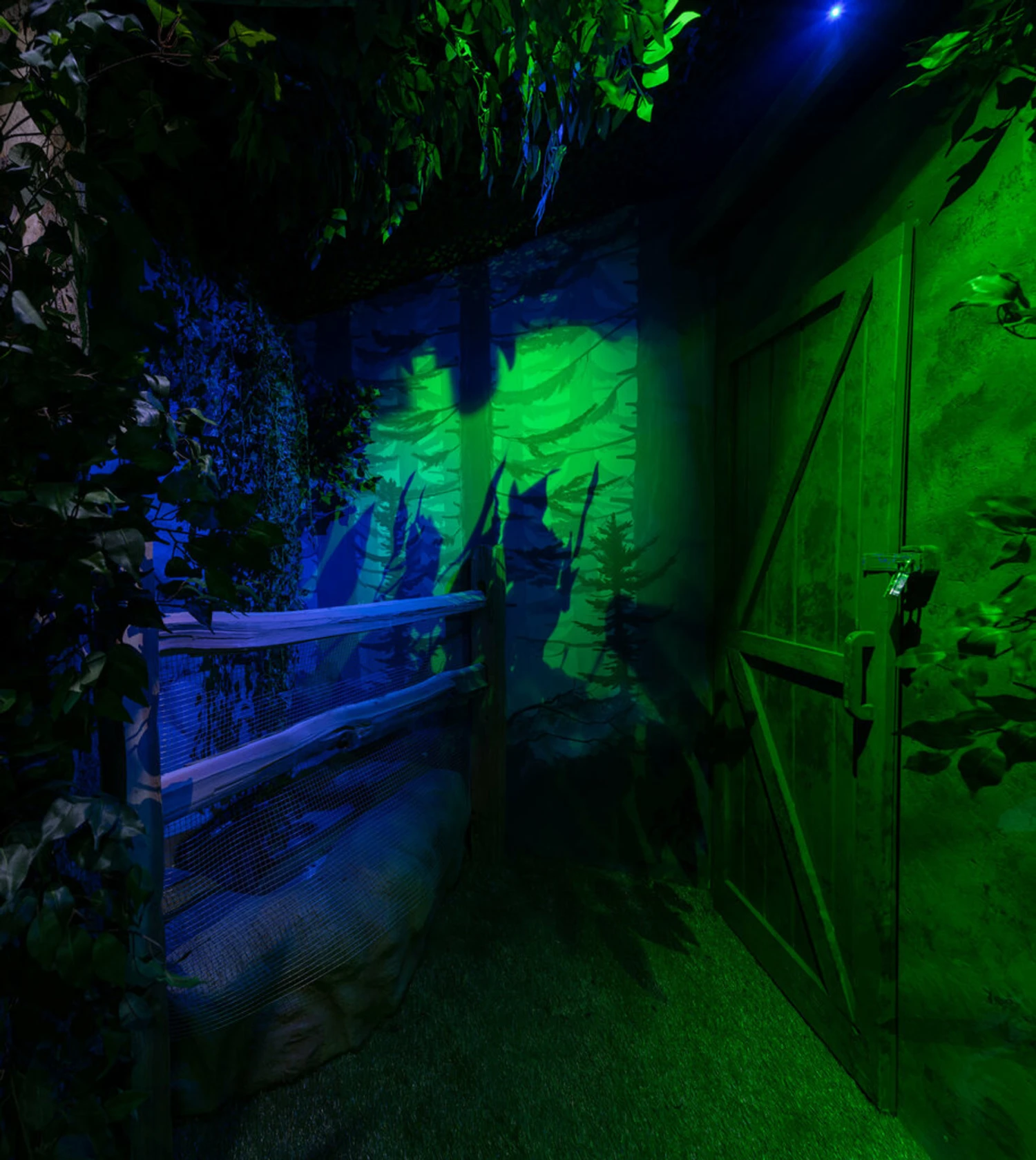 Hansel And Gretel - Complete Escape Room Kit - Image 10