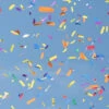Bulk Confetti Refill (Per Pound)