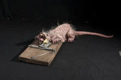Animated Rat Trap Halloween Prop