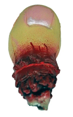 Big Toe Latex Halloween Prop