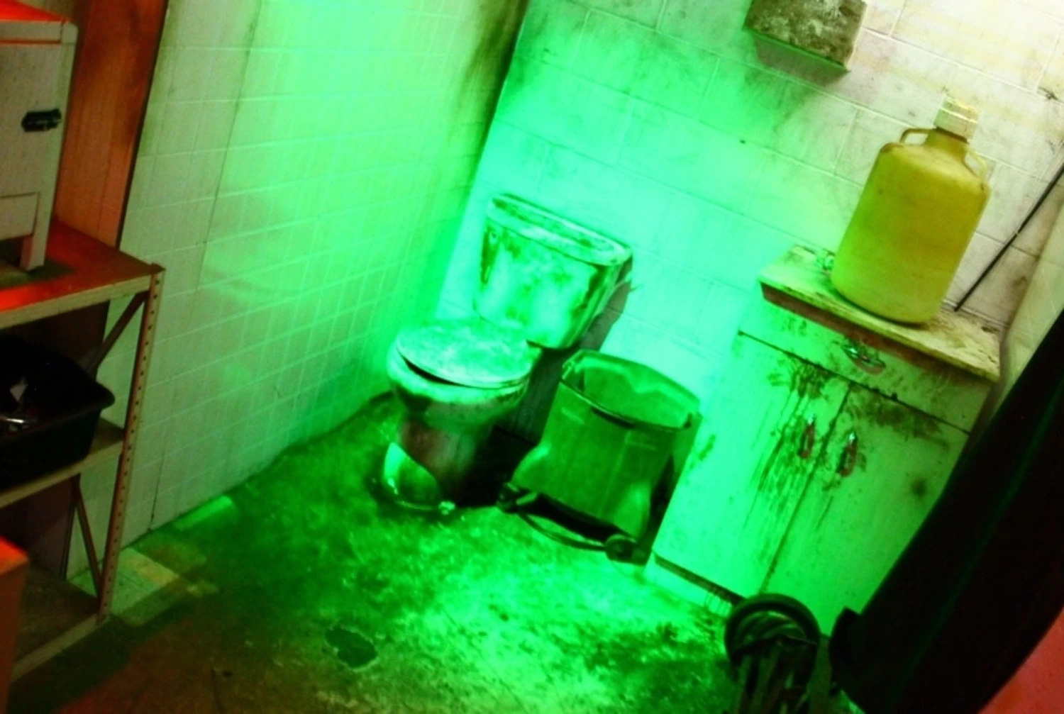 Eat Or Be Eaten- Turn-Key Full Escape Room - Image 4