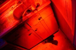 Eat Or Be Eaten- Turn-Key Full Escape Room