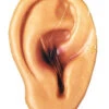 Cut Off Latex Ear Halloween Prop