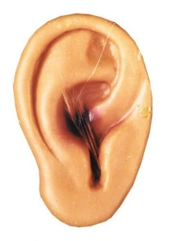 Cut Off Latex Ear Halloween Prop