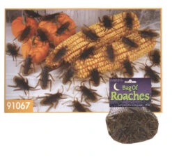 Rubber Cockroaches - 80 Pieces Of Adult Roaches