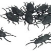 Roaches 10 Pc Set