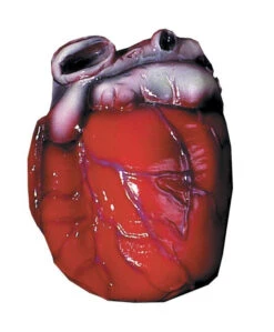 Realistic Heart Prop Halloween Prop