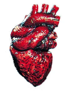 Heart Latex Halloween Prop