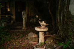 Walk The Grounds Fog Scent