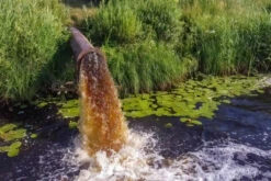 Sewage Scent Spritzer